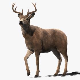 3D New National Olympic Stadium Tokyo Field Hockey